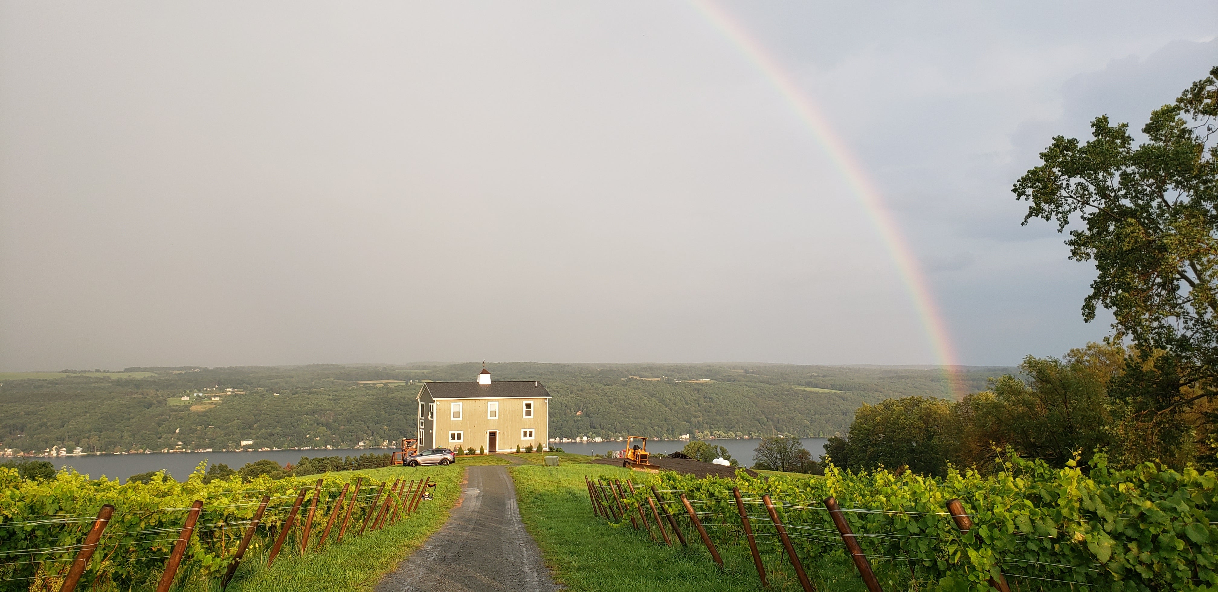 Divided Sky Vineyard